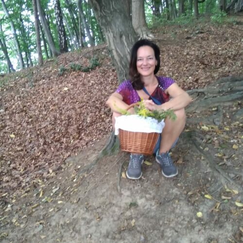 Bei der Wanderung im Wald