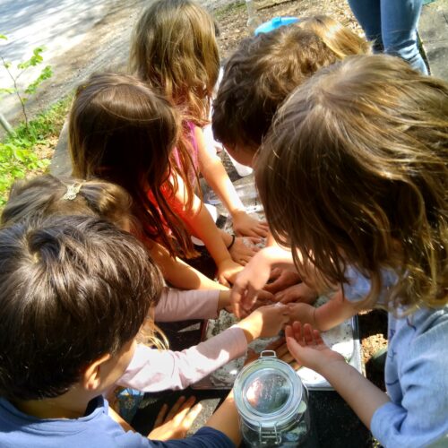 Kinder sind auch begeisterte Naturforscher