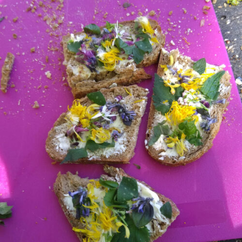 Meine Kräuterbrötchen